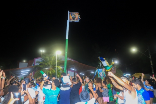 Festa de São Benedito e N. S. do Rosário de Pitanga - 2025